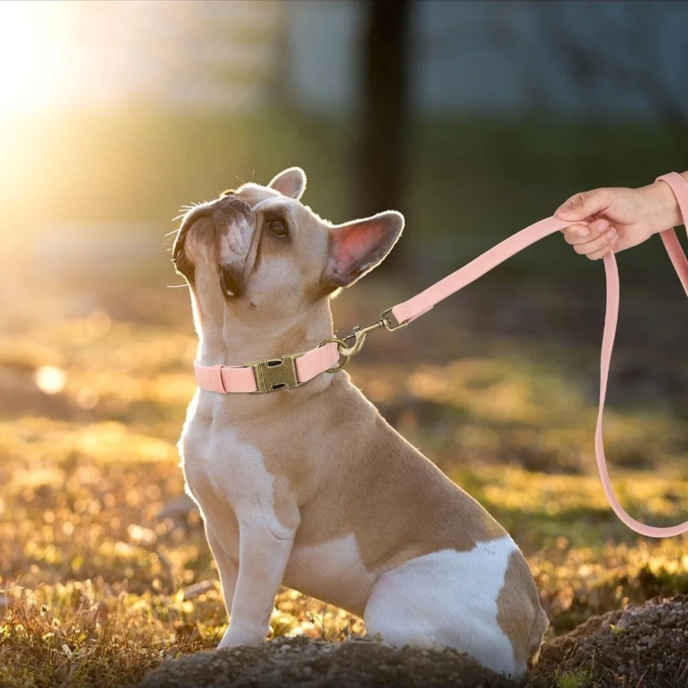 Didog Soft PU Leather Dog Collar - Small